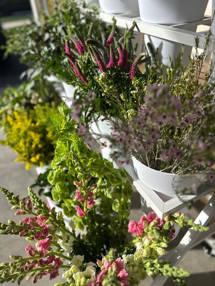 Close-up of fresh seasonal flowers